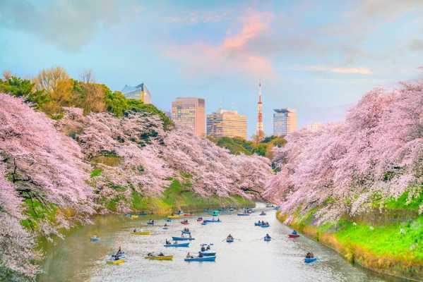 东京旅游攻略，东京旅游攻略必去景点