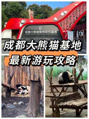 成都大熊猫繁育研究基地游玩攻略，成都大熊猫繁育研究基地游玩攻略路线