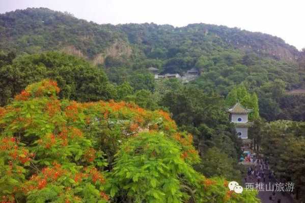 你好，我可以帮你提供一些关于西樵山游玩攻略的信息。以下是一些可能有用的小标题：