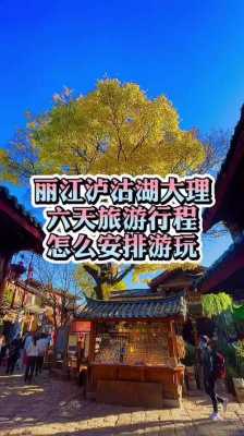 您好，我可以帮您查找丽江到大理旅游攻略。以下是一些网站，您可以在这些网站上找到详细的介绍和小标题：