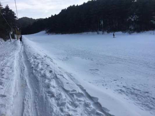 冬天西安旅游攻略：漫步古都，体验冰雪奇缘