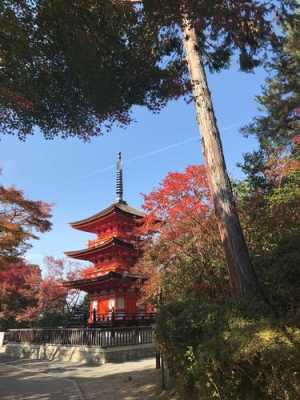 日本京都旅游攻略，日本京都旅游攻略景点推荐