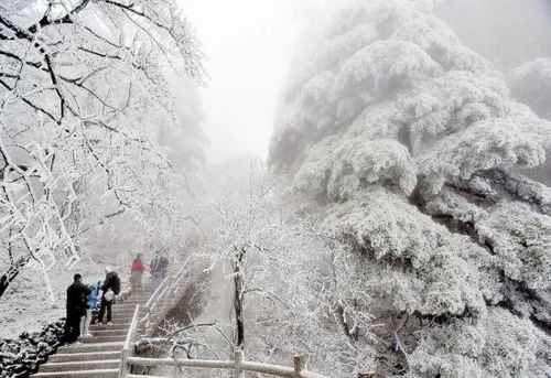 黄山冬季旅游攻略：让你在冰雪世界中感受大自然的鬼斧神工