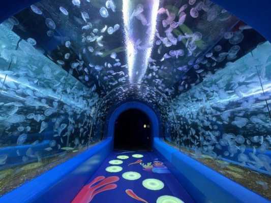 深圳海上世界游玩攻略：探索神秘的海底世界