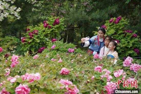 洛阳牡丹节旅游攻略——赏花盛景，体验千年古都韵味