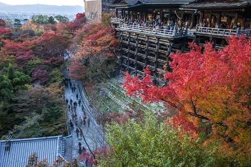 京都旅游攻略，日本京都旅游攻略