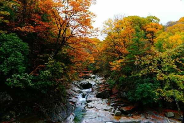 巴中光雾山旅游攻略,巴中光雾山旅游攻略一日游
