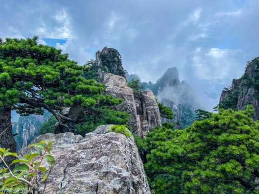 您好，黄山是中国著名的旅游胜地之一，有着壮丽的山峰、奇特的岩石、秀美的云海、清新的空气和独特的民俗风情。如果您想进行黄山攻略二日游自由行，可以参考以下攻略：