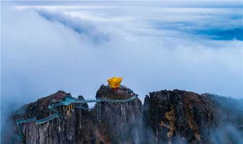 清远金子山的旅游攻略
