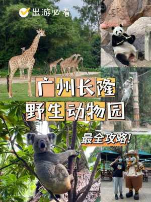 动物园攻略（动物园攻略一日游）