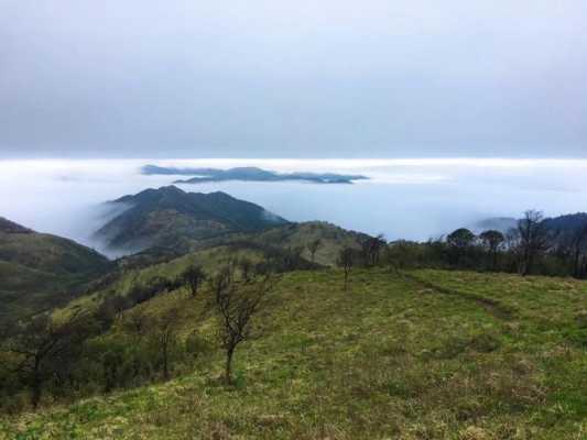 登山攻略（酃峰登山攻略）