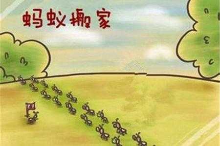 蚂蚁攻略(小小蚂蚁攻略)